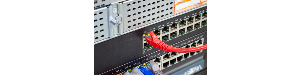 lan-ports