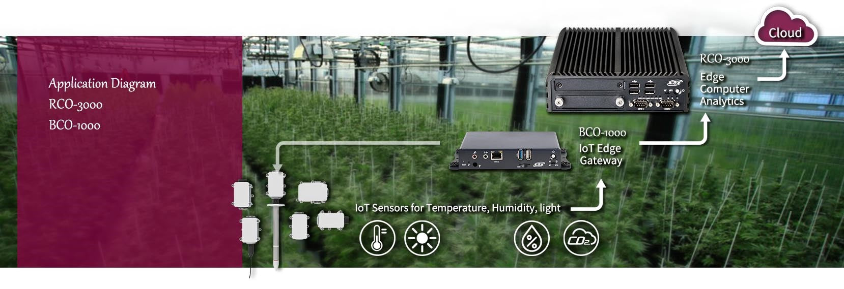 Cannabis Tech Application Story