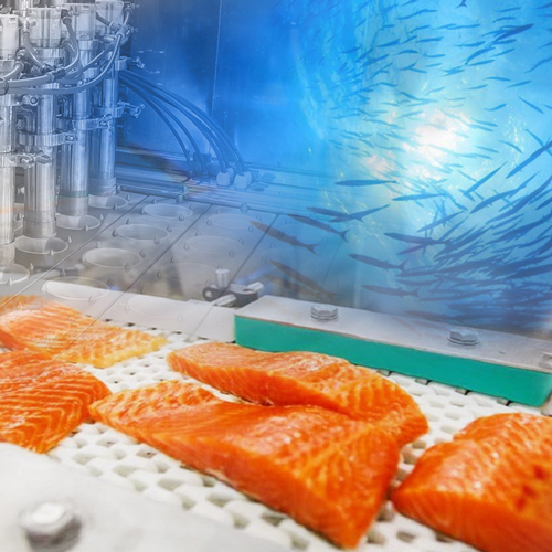 Seafood Processors Shore Up Data Center Performance
