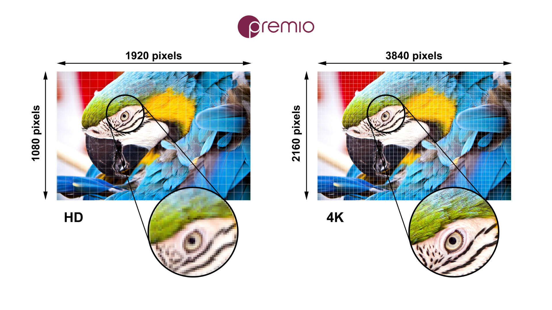 What is 4K Resolution Monitor?